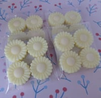 White Lavender & Citrus