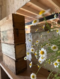 Image 4 of Boîtes de quincaillerie - Décoration 