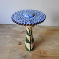 Image 14 of hydrangea wowie