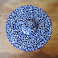 Image 13 of hydrangea wowie