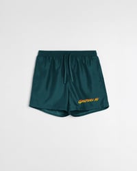costume VERDE GHE