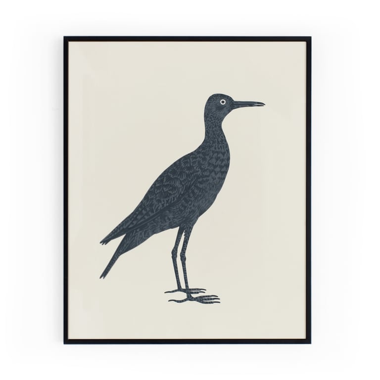 Upland Sandpiper | Bartrams Ruiter
