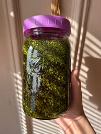 Image 2 of Skullcap Elixir 