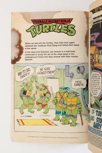 Image 2 of TMNT Intergalactic Wrestling