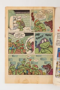 Image 4 of TMNT Intergalactic Wrestling