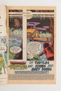 Image 3 of TMNT Intergalactic Wrestling