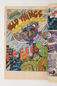 Image 7 of TMNT Intergalactic Wrestling