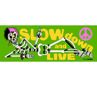 Image 1 of Slow Down + Live | Bumper Sticker