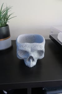 Image 3 of Skull Pot Stone Texture