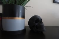 Image 1 of Skull Black