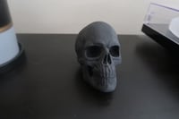 Image 2 of Skull Black