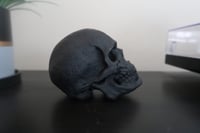 Image 3 of Skull Black