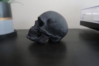 Image 5 of Skull Black