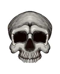 Image 4 of Skull Sticker