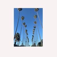 Image 1 of Palm Tree Sticker