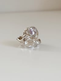 Image 2 of Primadonna