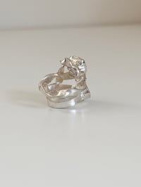 Image 3 of Primadonna