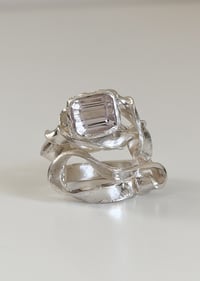 Image 1 of Primadonna