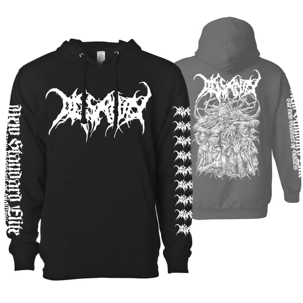 Image of DISSANITY "DEMO 2026" HOODIE