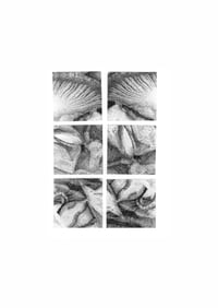 Collage 3, motif A