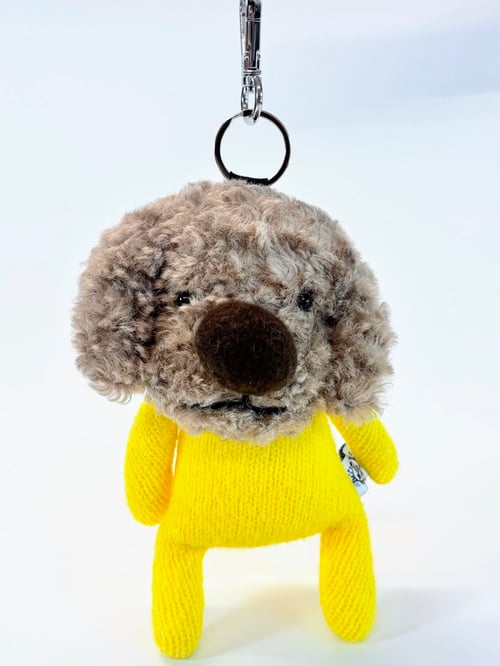 Image of Sonny the dog 