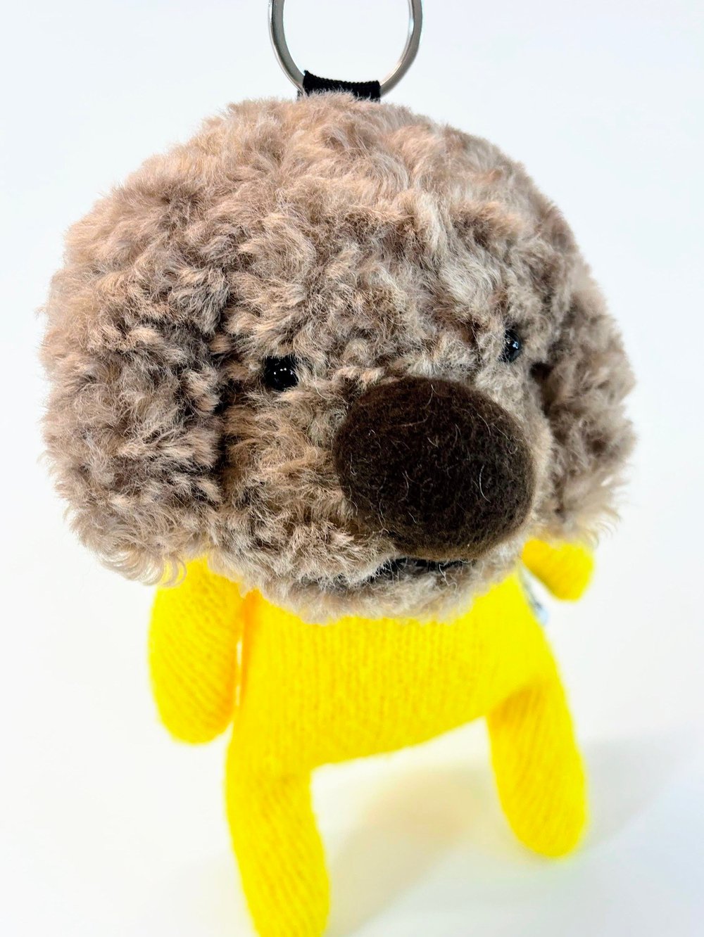 Image of Sonny the dog 