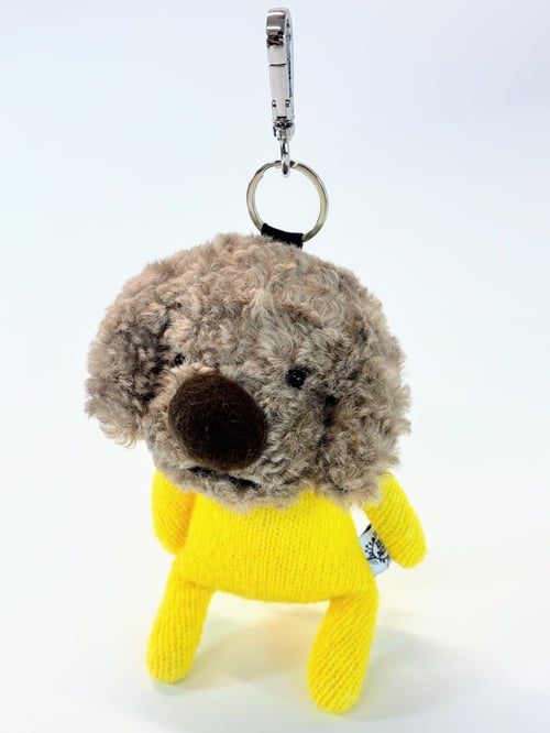 Image of Sonny the dog 