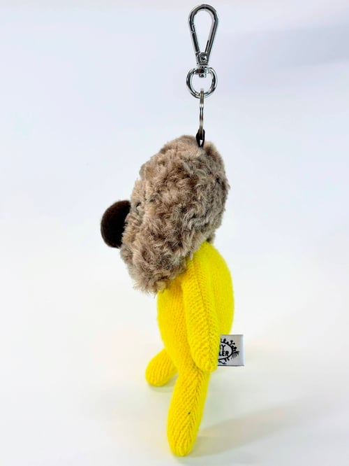 Image of Sonny the dog 