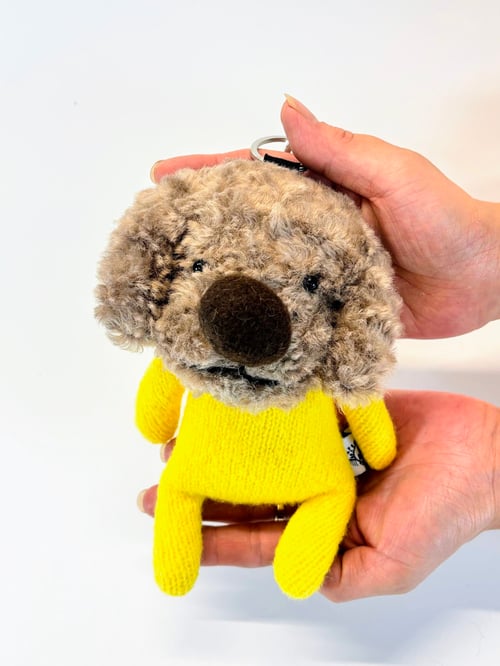 Image of Sonny the dog 
