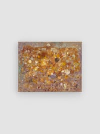 Image 1 of Spoor (Fall), 2024