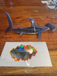 Image 5 of Hammerhead 5/50