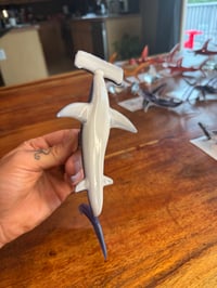 Image 2 of Hammerhead 5/50