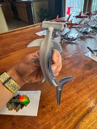 Image 1 of Hammerhead 6/50