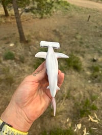 Image 2 of Hammer head 7/50 