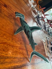 Image 5 of Hammerhead 9/50