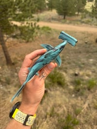 Image 1 of Hammerhead 10/50