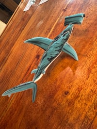 Image 5 of Hammerhead 10/50