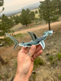 Image 1 of Hammerhead 11/50
