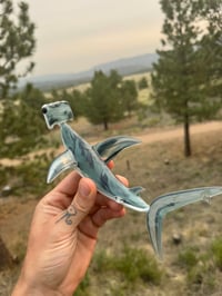 Image 2 of Hammerhead 11/50