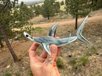 Image 5 of Hammerhead 11/50