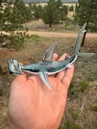 Image 1 of Hammerhead 12/50