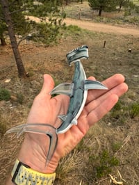 Image 3 of Hammerhead 12/50
