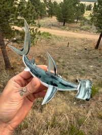 Image 4 of Hammerhead 12/50