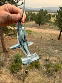 Image 5 of Hammerhead 12/50