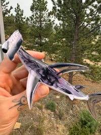 Image 1 of Hammerhead 13/50