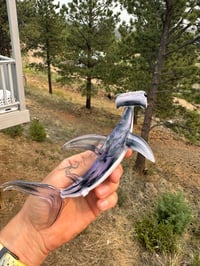 Image 2 of Hammerhead 13/50