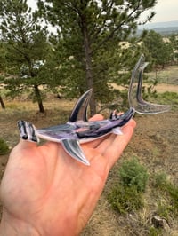 Image 4 of Hammerhead 14/50