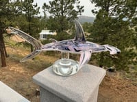 Image 5 of Hammerhead 16/50