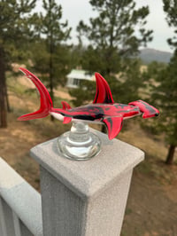 Image 4 of Hammerhead 17/50