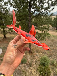 Image 1 of Hammerhead 19/50